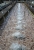G_1433.jpg