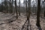 windbruch-01.jpg