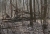 windbruch-06.jpg