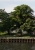 samyang-20-12-panorama-links.jpg