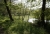 hermsdorf-waldsee-03.JPG