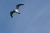 tiefer-see-09.jpg