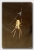 Spinne neu.jpg