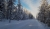 Winterbild 1 Bl. + Z..jpg