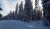 Winterbild 2 Bl. + Z..jpg