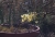 IMG_4676_SchneiderDurst_Componon_300_f11.jpg