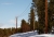 FL 100mm - 1 B+Z.jpg