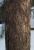 Test Super Takumar  55mm 1.8 - 5 B+Z.jpg
