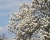 fruehling-2.jpg