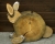 Ostern 2019.jpg