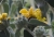 IMG_5671_Rodagon180_f5.6_1-1Crop.jpg