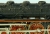 03160-8-2.jpg
