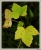 Herbst 2019 B+Z.jpg