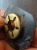 20190921_135241.jpg