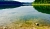 DSCF3617.jpg