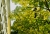 IMG04134.jpeg