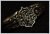 Beastmasters Ring B+Z.jpg