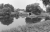 saaten-usw-04.jpg