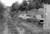 saaten-usw-13.jpg