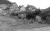saaten-usw-17.jpg