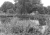 saaten-usw-19.jpg
