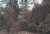 IMG04165 (1).jpeg