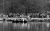 lietzensee-001.jpg