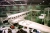 305Scan-121103-0009_1200.jpg