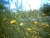 pict018.jpg