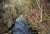 imm029_34A n.jpg