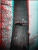 imm011_12.JPG