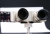 g-Stereobetrachter-DSC03353.jpg
