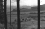 film5_34Landschaft_1280.jpg