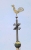 IMGP1992TairCrop.jpg