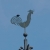 IMGP6547_Ausschnitt.JPG