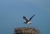 DSC05394.jpg
