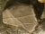CIMG7322.JPG