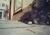 katze.jpg