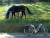 DSC00107Quirrenbach.JPG