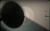 C849DEB6-EBD2-48A5-9CAA-DD3AA671ED60.jpeg