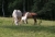 IMGP1866_1200.JPG