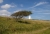 IMGP3624-2.JPG
