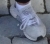 zoom-1-2.jpg