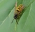 IMG_20200828_134420_640.jpg