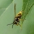 IMG_20200828_134422_640.jpg