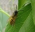 IMG_20200828_134430_640.jpg