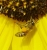 CIMG7572_640crop.JPG