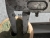 2D95FAB1-C16B-46F5-AC4A-7CF14ECB9B97.jpeg