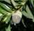 IMGP6950_640.JPG