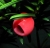 IMGP6947_640.JPG